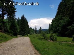 [P37] A fost o drumeție frumoasă, sperăm să revenim pe acest traseu.  » foto by Floryn81
 - 
<span class="allrVoted glyphicon glyphicon-heart hidden" id="av1080573"></span>
<a class="m-l-10 hidden" id="sv1080573" onclick="voting_Foto_DelVot(,1080573,5531)" role="button">șterge vot <span class="glyphicon glyphicon-remove"></span></a>
<a id="v91080573" class=" c-red"  onclick="voting_Foto_SetVot(1080573)" role="button"><span class="glyphicon glyphicon-heart-empty"></span> <b>LIKE</b> = Votează poza</a> <img class="hidden"  id="f1080573W9" src="/imagini/loader.gif" border="0" /><span class="AjErrMes hidden" id="e1080573ErM"></span>