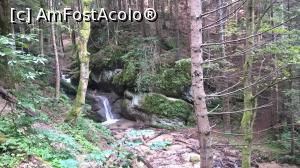 [P38] La Popasul Cascada cu Apă vie.  » foto by maryka
 - 
<span class="allrVoted glyphicon glyphicon-heart hidden" id="av777827"></span>
<a class="m-l-10 hidden" id="sv777827" onclick="voting_Foto_DelVot(,777827,5531)" role="button">șterge vot <span class="glyphicon glyphicon-remove"></span></a>
<a id="v9777827" class=" c-red"  onclick="voting_Foto_SetVot(777827)" role="button"><span class="glyphicon glyphicon-heart-empty"></span> <b>LIKE</b> = Votează poza</a> <img class="hidden"  id="f777827W9" src="/imagini/loader.gif" border="0" /><span class="AjErrMes hidden" id="e777827ErM"></span>