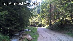 [P39] Drumul forestier spre canion.  » foto by maryka
 - 
<span class="allrVoted glyphicon glyphicon-heart hidden" id="av777828"></span>
<a class="m-l-10 hidden" id="sv777828" onclick="voting_Foto_DelVot(,777828,5531)" role="button">șterge vot <span class="glyphicon glyphicon-remove"></span></a>
<a id="v9777828" class=" c-red"  onclick="voting_Foto_SetVot(777828)" role="button"><span class="glyphicon glyphicon-heart-empty"></span> <b>LIKE</b> = Votează poza</a> <img class="hidden"  id="f777828W9" src="/imagini/loader.gif" border="0" /><span class="AjErrMes hidden" id="e777828ErM"></span>