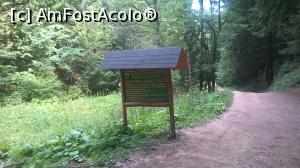 [P51] La popasul cascada cu Apă vie.  » foto by maryka
 - 
<span class="allrVoted glyphicon glyphicon-heart hidden" id="av777840"></span>
<a class="m-l-10 hidden" id="sv777840" onclick="voting_Foto_DelVot(,777840,5531)" role="button">șterge vot <span class="glyphicon glyphicon-remove"></span></a>
<a id="v9777840" class=" c-red"  onclick="voting_Foto_SetVot(777840)" role="button"><span class="glyphicon glyphicon-heart-empty"></span> <b>LIKE</b> = Votează poza</a> <img class="hidden"  id="f777840W9" src="/imagini/loader.gif" border="0" /><span class="AjErrMes hidden" id="e777840ErM"></span>