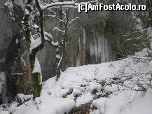 [P17] țurțuri de ghiață, atracția iernii la 7 Scări » foto by kata0587
 - 
<span class="allrVoted glyphicon glyphicon-heart hidden" id="av396553"></span>
<a class="m-l-10 hidden" id="sv396553" onclick="voting_Foto_DelVot(,396553,5531)" role="button">șterge vot <span class="glyphicon glyphicon-remove"></span></a>
<a id="v9396553" class=" c-red"  onclick="voting_Foto_SetVot(396553)" role="button"><span class="glyphicon glyphicon-heart-empty"></span> <b>LIKE</b> = Votează poza</a> <img class="hidden"  id="f396553W9" src="/imagini/loader.gif" border="0" /><span class="AjErrMes hidden" id="e396553ErM"></span>