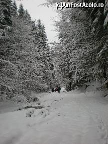 [P22] prin pădure » foto by kata0587
 - 
<span class="allrVoted glyphicon glyphicon-heart hidden" id="av396558"></span>
<a class="m-l-10 hidden" id="sv396558" onclick="voting_Foto_DelVot(,396558,5531)" role="button">șterge vot <span class="glyphicon glyphicon-remove"></span></a>
<a id="v9396558" class=" c-red"  onclick="voting_Foto_SetVot(396558)" role="button"><span class="glyphicon glyphicon-heart-empty"></span> <b>LIKE</b> = Votează poza</a> <img class="hidden"  id="f396558W9" src="/imagini/loader.gif" border="0" /><span class="AjErrMes hidden" id="e396558ErM"></span>