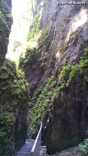 [P08] Inca putin... dar parca nu vrem sa se termine » foto by papone
 - 
<span class="allrVoted glyphicon glyphicon-heart hidden" id="av655123"></span>
<a class="m-l-10 hidden" id="sv655123" onclick="voting_Foto_DelVot(,655123,5531)" role="button">șterge vot <span class="glyphicon glyphicon-remove"></span></a>
<a id="v9655123" class=" c-red"  onclick="voting_Foto_SetVot(655123)" role="button"><span class="glyphicon glyphicon-heart-empty"></span> <b>LIKE</b> = Votează poza</a> <img class="hidden"  id="f655123W9" src="/imagini/loader.gif" border="0" /><span class="AjErrMes hidden" id="e655123ErM"></span>
