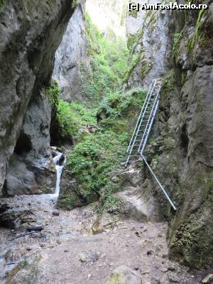 [P28] Iar urcăm pe lângă cascade...  » foto by tata123 🔱
 - 
<span class="allrVoted glyphicon glyphicon-heart hidden" id="av655417"></span>
<a class="m-l-10 hidden" id="sv655417" onclick="voting_Foto_DelVot(,655417,5531)" role="button">șterge vot <span class="glyphicon glyphicon-remove"></span></a>
<a id="v9655417" class=" c-red"  onclick="voting_Foto_SetVot(655417)" role="button"><span class="glyphicon glyphicon-heart-empty"></span> <b>LIKE</b> = Votează poza</a> <img class="hidden"  id="f655417W9" src="/imagini/loader.gif" border="0" /><span class="AjErrMes hidden" id="e655417ErM"></span>