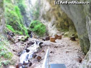 [P29] Loc de popas după atâtea scări.  » foto by tata123 🔱
 - 
<span class="allrVoted glyphicon glyphicon-heart hidden" id="av655418"></span>
<a class="m-l-10 hidden" id="sv655418" onclick="voting_Foto_DelVot(,655418,5531)" role="button">șterge vot <span class="glyphicon glyphicon-remove"></span></a>
<a id="v9655418" class=" c-red"  onclick="voting_Foto_SetVot(655418)" role="button"><span class="glyphicon glyphicon-heart-empty"></span> <b>LIKE</b> = Votează poza</a> <img class="hidden"  id="f655418W9" src="/imagini/loader.gif" border="0" /><span class="AjErrMes hidden" id="e655418ErM"></span>