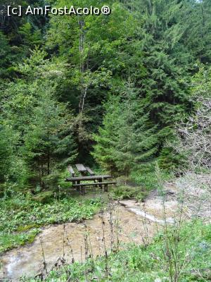 [P21] Loc de popas în Natură - Canionul 7 Scări.  » foto by tata123 🔱
 - 
<span class="allrVoted glyphicon glyphicon-heart hidden" id="av1010624"></span>
<a class="m-l-10 hidden" id="sv1010624" onclick="voting_Foto_DelVot(,1010624,5531)" role="button">șterge vot <span class="glyphicon glyphicon-remove"></span></a>
<a id="v91010624" class=" c-red"  onclick="voting_Foto_SetVot(1010624)" role="button"><span class="glyphicon glyphicon-heart-empty"></span> <b>LIKE</b> = Votează poza</a> <img class="hidden"  id="f1010624W9" src="/imagini/loader.gif" border="0" /><span class="AjErrMes hidden" id="e1010624ErM"></span>