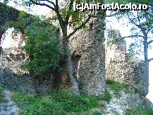[P10] Ruinele Cetatii Soimos » foto by ldogaru
 - 
<span class="allrVoted glyphicon glyphicon-heart hidden" id="av191148"></span>
<a class="m-l-10 hidden" id="sv191148" onclick="voting_Foto_DelVot(,191148,5539)" role="button">șterge vot <span class="glyphicon glyphicon-remove"></span></a>
<a id="v9191148" class=" c-red"  onclick="voting_Foto_SetVot(191148)" role="button"><span class="glyphicon glyphicon-heart-empty"></span> <b>LIKE</b> = Votează poza</a> <img class="hidden"  id="f191148W9" src="/imagini/loader.gif" border="0" /><span class="AjErrMes hidden" id="e191148ErM"></span>