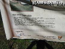 [P12] La baza dealului pe care se afla ruinele cetatii Soimos-date istorice » foto by adria
 - 
<span class="allrVoted glyphicon glyphicon-heart hidden" id="av66930"></span>
<a class="m-l-10 hidden" id="sv66930" onclick="voting_Foto_DelVot(,66930,5539)" role="button">șterge vot <span class="glyphicon glyphicon-remove"></span></a>
<a id="v966930" class=" c-red"  onclick="voting_Foto_SetVot(66930)" role="button"><span class="glyphicon glyphicon-heart-empty"></span> <b>LIKE</b> = Votează poza</a> <img class="hidden"  id="f66930W9" src="/imagini/loader.gif" border="0" /><span class="AjErrMes hidden" id="e66930ErM"></span>