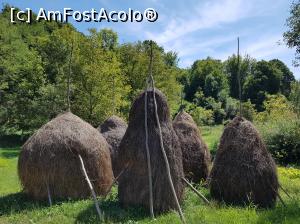 [P21] La plimbare prin Țara Zarandului, un ținut de poveste, cu locuri magice și oameni gospodari.  » foto by Floryn81
 - 
<span class="allrVoted glyphicon glyphicon-heart hidden" id="av1132775"></span>
<a class="m-l-10 hidden" id="sv1132775" onclick="voting_Foto_DelVot(,1132775,5545)" role="button">șterge vot <span class="glyphicon glyphicon-remove"></span></a>
<a id="v91132775" class=" c-red"  onclick="voting_Foto_SetVot(1132775)" role="button"><span class="glyphicon glyphicon-heart-empty"></span> <b>LIKE</b> = Votează poza</a> <img class="hidden"  id="f1132775W9" src="/imagini/loader.gif" border="0" /><span class="AjErrMes hidden" id="e1132775ErM"></span>