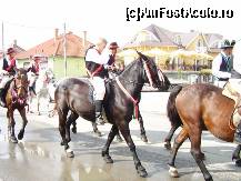 [P03]  -- <small>// FĂRĂ DESCRIERE</small> » foto by any*
 - 
<span class="allrVoted glyphicon glyphicon-heart hidden" id="av76770"></span>
<a class="m-l-10 hidden" id="sv76770" onclick="voting_Foto_DelVot(,76770,5557)" role="button">șterge vot <span class="glyphicon glyphicon-remove"></span></a>
<a id="v976770" class=" c-red"  onclick="voting_Foto_SetVot(76770)" role="button"><span class="glyphicon glyphicon-heart-empty"></span> <b>LIKE</b> = Votează poza</a> <img class="hidden"  id="f76770W9" src="/imagini/loader.gif" border="0" /><span class="AjErrMes hidden" id="e76770ErM"></span>