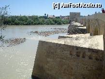 [P12] Cordoba,puntea romana, in capat se vede turnul zis 'de la Callahora'. » foto by olga
 - 
<span class="allrVoted glyphicon glyphicon-heart hidden" id="av323890"></span>
<a class="m-l-10 hidden" id="sv323890" onclick="voting_Foto_DelVot(,323890,5561)" role="button">șterge vot <span class="glyphicon glyphicon-remove"></span></a>
<a id="v9323890" class=" c-red"  onclick="voting_Foto_SetVot(323890)" role="button"><span class="glyphicon glyphicon-heart-empty"></span> <b>LIKE</b> = Votează poza</a> <img class="hidden"  id="f323890W9" src="/imagini/loader.gif" border="0" /><span class="AjErrMes hidden" id="e323890ErM"></span>