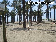 [P06] Torremolinos, plaja care are din loc in loc palmieri. » foto by olga
 - 
<span class="allrVoted glyphicon glyphicon-heart hidden" id="av323884"></span>
<a class="m-l-10 hidden" id="sv323884" onclick="voting_Foto_DelVot(,323884,5561)" role="button">șterge vot <span class="glyphicon glyphicon-remove"></span></a>
<a id="v9323884" class=" c-red"  onclick="voting_Foto_SetVot(323884)" role="button"><span class="glyphicon glyphicon-heart-empty"></span> <b>LIKE</b> = Votează poza</a> <img class="hidden"  id="f323884W9" src="/imagini/loader.gif" border="0" /><span class="AjErrMes hidden" id="e323884ErM"></span>