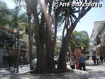 [P12] TORREMOLINOS » foto by bogdan 75
 - 
<span class="allrVoted glyphicon glyphicon-heart hidden" id="av67603"></span>
<a class="m-l-10 hidden" id="sv67603" onclick="voting_Foto_DelVot(,67603,5561)" role="button">șterge vot <span class="glyphicon glyphicon-remove"></span></a>
<a id="v967603" class=" c-red"  onclick="voting_Foto_SetVot(67603)" role="button"><span class="glyphicon glyphicon-heart-empty"></span> <b>LIKE</b> = Votează poza</a> <img class="hidden"  id="f67603W9" src="/imagini/loader.gif" border="0" /><span class="AjErrMes hidden" id="e67603ErM"></span>