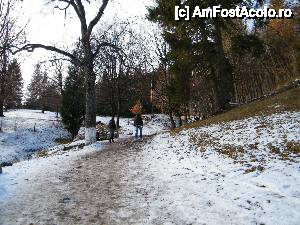 [P20] Drumul spre peștera chilie a părintelui Arsenie Boca » foto by adrian_28_1977
 - 
<span class="allrVoted glyphicon glyphicon-heart hidden" id="av454089"></span>
<a class="m-l-10 hidden" id="sv454089" onclick="voting_Foto_DelVot(,454089,5564)" role="button">șterge vot <span class="glyphicon glyphicon-remove"></span></a>
<a id="v9454089" class=" c-red"  onclick="voting_Foto_SetVot(454089)" role="button"><span class="glyphicon glyphicon-heart-empty"></span> <b>LIKE</b> = Votează poza</a> <img class="hidden"  id="f454089W9" src="/imagini/loader.gif" border="0" /><span class="AjErrMes hidden" id="e454089ErM"></span>
