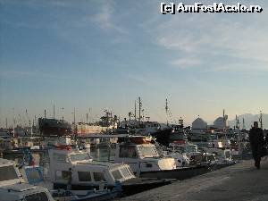 [P17] port Egina » foto by flaviana77
 - 
<span class="allrVoted glyphicon glyphicon-heart hidden" id="av670102"></span>
<a class="m-l-10 hidden" id="sv670102" onclick="voting_Foto_DelVot(,670102,5571)" role="button">șterge vot <span class="glyphicon glyphicon-remove"></span></a>
<a id="v9670102" class=" c-red"  onclick="voting_Foto_SetVot(670102)" role="button"><span class="glyphicon glyphicon-heart-empty"></span> <b>LIKE</b> = Votează poza</a> <img class="hidden"  id="f670102W9" src="/imagini/loader.gif" border="0" /><span class="AjErrMes hidden" id="e670102ErM"></span>