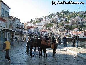 [P06] mijloc de transport in Hydra » foto by flaviana77
 - 
<span class="allrVoted glyphicon glyphicon-heart hidden" id="av670091"></span>
<a class="m-l-10 hidden" id="sv670091" onclick="voting_Foto_DelVot(,670091,5571)" role="button">șterge vot <span class="glyphicon glyphicon-remove"></span></a>
<a id="v9670091" class=" c-red"  onclick="voting_Foto_SetVot(670091)" role="button"><span class="glyphicon glyphicon-heart-empty"></span> <b>LIKE</b> = Votează poza</a> <img class="hidden"  id="f670091W9" src="/imagini/loader.gif" border="0" /><span class="AjErrMes hidden" id="e670091ErM"></span>