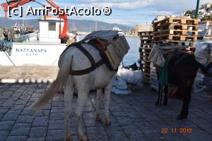 [P08] Taxiuri încărcate cu marfă » foto by Ioan Raita
 - 
<span class="allrVoted glyphicon glyphicon-heart hidden" id="av1048355"></span>
<a class="m-l-10 hidden" id="sv1048355" onclick="voting_Foto_DelVot(,1048355,5571)" role="button">șterge vot <span class="glyphicon glyphicon-remove"></span></a>
<a id="v91048355" class=" c-red"  onclick="voting_Foto_SetVot(1048355)" role="button"><span class="glyphicon glyphicon-heart-empty"></span> <b>LIKE</b> = Votează poza</a> <img class="hidden"  id="f1048355W9" src="/imagini/loader.gif" border="0" /><span class="AjErrMes hidden" id="e1048355ErM"></span>