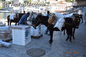 [P09] Gata de plecare cu marfa în spinare » foto by Ioan Raita
 - 
<span class="allrVoted glyphicon glyphicon-heart hidden" id="av1048358"></span>
<a class="m-l-10 hidden" id="sv1048358" onclick="voting_Foto_DelVot(,1048358,5571)" role="button">șterge vot <span class="glyphicon glyphicon-remove"></span></a>
<a id="v91048358" class=" c-red"  onclick="voting_Foto_SetVot(1048358)" role="button"><span class="glyphicon glyphicon-heart-empty"></span> <b>LIKE</b> = Votează poza</a> <img class="hidden"  id="f1048358W9" src="/imagini/loader.gif" border="0" /><span class="AjErrMes hidden" id="e1048358ErM"></span>