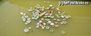 [P06] Gradina Botanica Jibou » foto by andr2eea
 - 
<span class="allrVoted glyphicon glyphicon-heart hidden" id="av657155"></span>
<a class="m-l-10 hidden" id="sv657155" onclick="voting_Foto_DelVot(,657155,5575)" role="button">șterge vot <span class="glyphicon glyphicon-remove"></span></a>
<a id="v9657155" class=" c-red"  onclick="voting_Foto_SetVot(657155)" role="button"><span class="glyphicon glyphicon-heart-empty"></span> <b>LIKE</b> = Votează poza</a> <img class="hidden"  id="f657155W9" src="/imagini/loader.gif" border="0" /><span class="AjErrMes hidden" id="e657155ErM"></span>