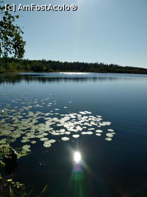 [P08] Lac pe insula mare a Solovăţului » foto by calator2000
 - 
<span class="allrVoted glyphicon glyphicon-heart hidden" id="av1052797"></span>
<a class="m-l-10 hidden" id="sv1052797" onclick="voting_Foto_DelVot(,1052797,5579)" role="button">șterge vot <span class="glyphicon glyphicon-remove"></span></a>
<a id="v91052797" class=" c-red"  onclick="voting_Foto_SetVot(1052797)" role="button"><span class="glyphicon glyphicon-heart-empty"></span> <b>LIKE</b> = Votează poza</a> <img class="hidden"  id="f1052797W9" src="/imagini/loader.gif" border="0" /><span class="AjErrMes hidden" id="e1052797ErM"></span>