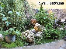 [P11] Curtea destul de micuta dar amenajata cu gust » foto by roxxie
 - 
<span class="allrVoted glyphicon glyphicon-heart hidden" id="av68616"></span>
<a class="m-l-10 hidden" id="sv68616" onclick="voting_Foto_DelVot(,68616,5584)" role="button">șterge vot <span class="glyphicon glyphicon-remove"></span></a>
<a id="v968616" class=" c-red"  onclick="voting_Foto_SetVot(68616)" role="button"><span class="glyphicon glyphicon-heart-empty"></span> <b>LIKE</b> = Votează poza</a> <img class="hidden"  id="f68616W9" src="/imagini/loader.gif" border="0" /><span class="AjErrMes hidden" id="e68616ErM"></span>