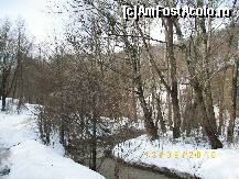 [P03] Padurea din vecinatatea pensiunii - natura pura. » foto by bose
 - 
<span class="allrVoted glyphicon glyphicon-heart hidden" id="av110225"></span>
<a class="m-l-10 hidden" id="sv110225" onclick="voting_Foto_DelVot(,110225,5587)" role="button">șterge vot <span class="glyphicon glyphicon-remove"></span></a>
<a id="v9110225" class=" c-red"  onclick="voting_Foto_SetVot(110225)" role="button"><span class="glyphicon glyphicon-heart-empty"></span> <b>LIKE</b> = Votează poza</a> <img class="hidden"  id="f110225W9" src="/imagini/loader.gif" border="0" /><span class="AjErrMes hidden" id="e110225ErM"></span>