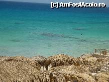 [P09] incredibila culoare a marii! » foto by kati
 - 
<span class="allrVoted glyphicon glyphicon-heart hidden" id="av217604"></span>
<a class="m-l-10 hidden" id="sv217604" onclick="voting_Foto_DelVot(,217604,5594)" role="button">șterge vot <span class="glyphicon glyphicon-remove"></span></a>
<a id="v9217604" class=" c-red"  onclick="voting_Foto_SetVot(217604)" role="button"><span class="glyphicon glyphicon-heart-empty"></span> <b>LIKE</b> = Votează poza</a> <img class="hidden"  id="f217604W9" src="/imagini/loader.gif" border="0" /><span class="AjErrMes hidden" id="e217604ErM"></span>