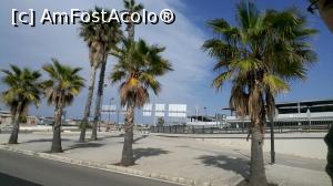 [P60] Aeroportul Manises... cum o arăta oare Otopeni-ul cu palmieri, ha?  » foto by le_maitre
 - 
<span class="allrVoted glyphicon glyphicon-heart hidden" id="av938418"></span>
<a class="m-l-10 hidden" id="sv938418" onclick="voting_Foto_DelVot(,938418,5604)" role="button">șterge vot <span class="glyphicon glyphicon-remove"></span></a>
<a id="v9938418" class=" c-red"  onclick="voting_Foto_SetVot(938418)" role="button"><span class="glyphicon glyphicon-heart-empty"></span> <b>LIKE</b> = Votează poza</a> <img class="hidden"  id="f938418W9" src="/imagini/loader.gif" border="0" /><span class="AjErrMes hidden" id="e938418ErM"></span>