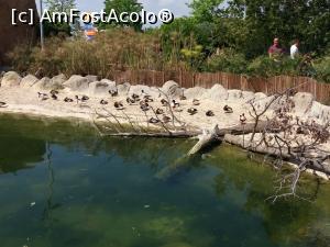 [P09] În continuare la Oceanografic » foto by le_maitre
 - 
<span class="allrVoted glyphicon glyphicon-heart hidden" id="av938367"></span>
<a class="m-l-10 hidden" id="sv938367" onclick="voting_Foto_DelVot(,938367,5604)" role="button">șterge vot <span class="glyphicon glyphicon-remove"></span></a>
<a id="v9938367" class=" c-red"  onclick="voting_Foto_SetVot(938367)" role="button"><span class="glyphicon glyphicon-heart-empty"></span> <b>LIKE</b> = Votează poza</a> <img class="hidden"  id="f938367W9" src="/imagini/loader.gif" border="0" /><span class="AjErrMes hidden" id="e938367ErM"></span>