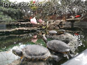 [P58] Oceanografic » foto by crismis
 - 
<span class="allrVoted glyphicon glyphicon-heart hidden" id="av954026"></span>
<a class="m-l-10 hidden" id="sv954026" onclick="voting_Foto_DelVot(,954026,5604)" role="button">șterge vot <span class="glyphicon glyphicon-remove"></span></a>
<a id="v9954026" class=" c-red"  onclick="voting_Foto_SetVot(954026)" role="button"><span class="glyphicon glyphicon-heart-empty"></span> <b>LIKE</b> = Votează poza</a> <img class="hidden"  id="f954026W9" src="/imagini/loader.gif" border="0" /><span class="AjErrMes hidden" id="e954026ErM"></span>