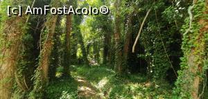 [P23] Parcul Natural Monasterio de Piedra. » foto by Aurici
 - 
<span class="allrVoted glyphicon glyphicon-heart hidden" id="av1258997"></span>
<a class="m-l-10 hidden" id="sv1258997" onclick="voting_Foto_DelVot(,1258997,5604)" role="button">șterge vot <span class="glyphicon glyphicon-remove"></span></a>
<a id="v91258997" class=" c-red"  onclick="voting_Foto_SetVot(1258997)" role="button"><span class="glyphicon glyphicon-heart-empty"></span> <b>LIKE</b> = Votează poza</a> <img class="hidden"  id="f1258997W9" src="/imagini/loader.gif" border="0" /><span class="AjErrMes hidden" id="e1258997ErM"></span>