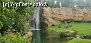 [P24] Bioparc Valencia, un paradis pentru familiile cu copii. » foto by Aurici
 - 
<span class="allrVoted glyphicon glyphicon-heart hidden" id="av1268708"></span>
<a class="m-l-10 hidden" id="sv1268708" onclick="voting_Foto_DelVot(,1268708,5604)" role="button">șterge vot <span class="glyphicon glyphicon-remove"></span></a>
<a id="v91268708" class=" c-red"  onclick="voting_Foto_SetVot(1268708)" role="button"><span class="glyphicon glyphicon-heart-empty"></span> <b>LIKE</b> = Votează poza</a> <img class="hidden"  id="f1268708W9" src="/imagini/loader.gif" border="0" /><span class="AjErrMes hidden" id="e1268708ErM"></span>