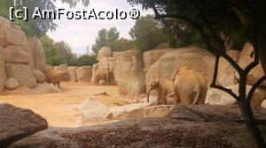 [P25] Bioparc Valencia, un paradis pentru familiile cu copii. » foto by Aurici
 - 
<span class="allrVoted glyphicon glyphicon-heart hidden" id="av1268709"></span>
<a class="m-l-10 hidden" id="sv1268709" onclick="voting_Foto_DelVot(,1268709,5604)" role="button">șterge vot <span class="glyphicon glyphicon-remove"></span></a>
<a id="v91268709" class=" c-red"  onclick="voting_Foto_SetVot(1268709)" role="button"><span class="glyphicon glyphicon-heart-empty"></span> <b>LIKE</b> = Votează poza</a> <img class="hidden"  id="f1268709W9" src="/imagini/loader.gif" border="0" /><span class="AjErrMes hidden" id="e1268709ErM"></span>