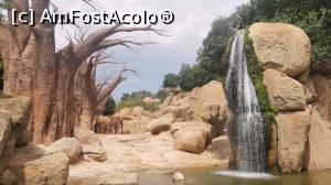 [P27] Bioparc Valencia, un paradis pentru familiile cu copii. » foto by Aurici
 - 
<span class="allrVoted glyphicon glyphicon-heart hidden" id="av1268711"></span>
<a class="m-l-10 hidden" id="sv1268711" onclick="voting_Foto_DelVot(,1268711,5604)" role="button">șterge vot <span class="glyphicon glyphicon-remove"></span></a>
<a id="v91268711" class=" c-red"  onclick="voting_Foto_SetVot(1268711)" role="button"><span class="glyphicon glyphicon-heart-empty"></span> <b>LIKE</b> = Votează poza</a> <img class="hidden"  id="f1268711W9" src="/imagini/loader.gif" border="0" /><span class="AjErrMes hidden" id="e1268711ErM"></span>
