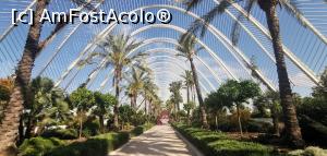 [P33] Umbracle, una din cele 6 clădiri din Orașul Artelor și Științelor. » foto by Aurici
 - 
<span class="allrVoted glyphicon glyphicon-heart hidden" id="av1268717"></span>
<a class="m-l-10 hidden" id="sv1268717" onclick="voting_Foto_DelVot(,1268717,5604)" role="button">șterge vot <span class="glyphicon glyphicon-remove"></span></a>
<a id="v91268717" class=" c-red"  onclick="voting_Foto_SetVot(1268717)" role="button"><span class="glyphicon glyphicon-heart-empty"></span> <b>LIKE</b> = Votează poza</a> <img class="hidden"  id="f1268717W9" src="/imagini/loader.gif" border="0" /><span class="AjErrMes hidden" id="e1268717ErM"></span>