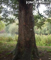 [P15] O veverita fotogenica,in parcul St.James » foto by georgiana
 - 
<span class="allrVoted glyphicon glyphicon-heart hidden" id="av69236"></span>
<a class="m-l-10 hidden" id="sv69236" onclick="voting_Foto_DelVot(,69236,5607)" role="button">șterge vot <span class="glyphicon glyphicon-remove"></span></a>
<a id="v969236" class=" c-red"  onclick="voting_Foto_SetVot(69236)" role="button"><span class="glyphicon glyphicon-heart-empty"></span> <b>LIKE</b> = Votează poza</a> <img class="hidden"  id="f69236W9" src="/imagini/loader.gif" border="0" /><span class="AjErrMes hidden" id="e69236ErM"></span>