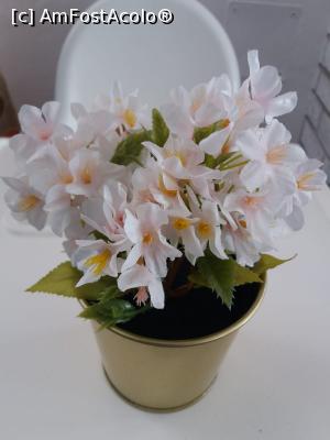 [P07] Un ghiveci ornamental(artificial) » foto by diana2015
 - 
<span class="allrVoted glyphicon glyphicon-heart hidden" id="av1220056"></span>
<a class="m-l-10 hidden" id="sv1220056" onclick="voting_Foto_DelVot(,1220056,5619)" role="button">șterge vot <span class="glyphicon glyphicon-remove"></span></a>
<a id="v91220056" class=" c-red"  onclick="voting_Foto_SetVot(1220056)" role="button"><span class="glyphicon glyphicon-heart-empty"></span> <b>LIKE</b> = Votează poza</a> <img class="hidden"  id="f1220056W9" src="/imagini/loader.gif" border="0" /><span class="AjErrMes hidden" id="e1220056ErM"></span>