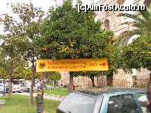 [P14] Kavala e la 460 km de fosta capitala Constantinopole ( Istanbul) » foto by ionescunic
 - 
<span class="allrVoted glyphicon glyphicon-heart hidden" id="av181758"></span>
<a class="m-l-10 hidden" id="sv181758" onclick="voting_Foto_DelVot(,181758,5636)" role="button">șterge vot <span class="glyphicon glyphicon-remove"></span></a>
<a id="v9181758" class=" c-red"  onclick="voting_Foto_SetVot(181758)" role="button"><span class="glyphicon glyphicon-heart-empty"></span> <b>LIKE</b> = Votează poza</a> <img class="hidden"  id="f181758W9" src="/imagini/loader.gif" border="0" /><span class="AjErrMes hidden" id="e181758ErM"></span>