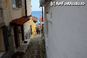 [P22] Straduta in Panagia » foto by Muffin2009*
 - 
<span class="allrVoted glyphicon glyphicon-heart hidden" id="av412673"></span>
<a class="m-l-10 hidden" id="sv412673" onclick="voting_Foto_DelVot(,412673,5636)" role="button">șterge vot <span class="glyphicon glyphicon-remove"></span></a>
<a id="v9412673" class=" c-red"  onclick="voting_Foto_SetVot(412673)" role="button"><span class="glyphicon glyphicon-heart-empty"></span> <b>LIKE</b> = Votează poza</a> <img class="hidden"  id="f412673W9" src="/imagini/loader.gif" border="0" /><span class="AjErrMes hidden" id="e412673ErM"></span>