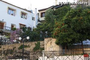 [P15] Kavala pitoreasca.  » foto by DOINITA
 - 
<span class="allrVoted glyphicon glyphicon-heart hidden" id="av599541"></span>
<a class="m-l-10 hidden" id="sv599541" onclick="voting_Foto_DelVot(,599541,5636)" role="button">șterge vot <span class="glyphicon glyphicon-remove"></span></a>
<a id="v9599541" class=" c-red"  onclick="voting_Foto_SetVot(599541)" role="button"><span class="glyphicon glyphicon-heart-empty"></span> <b>LIKE</b> = Votează poza</a> <img class="hidden"  id="f599541W9" src="/imagini/loader.gif" border="0" /><span class="AjErrMes hidden" id="e599541ErM"></span>