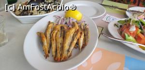[P53] La masă, la taverna Elia, complexul Batis » foto by irinad
 - 
<span class="allrVoted glyphicon glyphicon-heart hidden" id="av1193267"></span>
<a class="m-l-10 hidden" id="sv1193267" onclick="voting_Foto_DelVot(,1193267,5636)" role="button">șterge vot <span class="glyphicon glyphicon-remove"></span></a>
<a id="v91193267" class=" c-red"  onclick="voting_Foto_SetVot(1193267)" role="button"><span class="glyphicon glyphicon-heart-empty"></span> <b>LIKE</b> = Votează poza</a> <img class="hidden"  id="f1193267W9" src="/imagini/loader.gif" border="0" /><span class="AjErrMes hidden" id="e1193267ErM"></span>