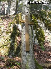 [P13] Din loc in loc, de-a lungul potecii, mai intalnim cate o cruce » foto by Claudiu U.
 - 
<span class="allrVoted glyphicon glyphicon-heart hidden" id="av201893"></span>
<a class="m-l-10 hidden" id="sv201893" onclick="voting_Foto_DelVot(,201893,5641)" role="button">șterge vot <span class="glyphicon glyphicon-remove"></span></a>
<a id="v9201893" class=" c-red"  onclick="voting_Foto_SetVot(201893)" role="button"><span class="glyphicon glyphicon-heart-empty"></span> <b>LIKE</b> = Votează poza</a> <img class="hidden"  id="f201893W9" src="/imagini/loader.gif" border="0" /><span class="AjErrMes hidden" id="e201893ErM"></span>