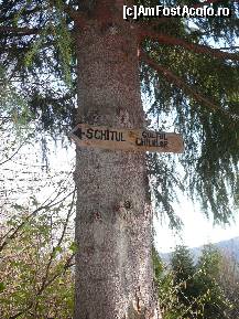 [P03] Sageata amplasata la intersectia potecii cu drumul (si singura de pe traseu) » foto by Claudiu U.
 - 
<span class="allrVoted glyphicon glyphicon-heart hidden" id="av201883"></span>
<a class="m-l-10 hidden" id="sv201883" onclick="voting_Foto_DelVot(,201883,5641)" role="button">șterge vot <span class="glyphicon glyphicon-remove"></span></a>
<a id="v9201883" class=" c-red"  onclick="voting_Foto_SetVot(201883)" role="button"><span class="glyphicon glyphicon-heart-empty"></span> <b>LIKE</b> = Votează poza</a> <img class="hidden"  id="f201883W9" src="/imagini/loader.gif" border="0" /><span class="AjErrMes hidden" id="e201883ErM"></span>