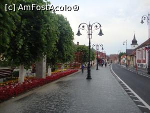 [P02] Vineri după-amiază ne-am plimbat prin zona centrală a oraşului. În stânga se află părculeţul „Mitropolit Ioan Meţianu”. » foto by Floryn81
 - 
<span class="allrVoted glyphicon glyphicon-heart hidden" id="av878228"></span>
<a class="m-l-10 hidden" id="sv878228" onclick="voting_Foto_DelVot(,878228,5641)" role="button">șterge vot <span class="glyphicon glyphicon-remove"></span></a>
<a id="v9878228" class=" c-red"  onclick="voting_Foto_SetVot(878228)" role="button"><span class="glyphicon glyphicon-heart-empty"></span> <b>LIKE</b> = Votează poza</a> <img class="hidden"  id="f878228W9" src="/imagini/loader.gif" border="0" /><span class="AjErrMes hidden" id="e878228ErM"></span>