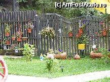 [P25] un gard decorat cu flori in ghiveci » foto by neagugaby
 - 
<span class="allrVoted glyphicon glyphicon-heart hidden" id="av71352"></span>
<a class="m-l-10 hidden" id="sv71352" onclick="voting_Foto_DelVot(,71352,5662)" role="button">șterge vot <span class="glyphicon glyphicon-remove"></span></a>
<a id="v971352" class=" c-red"  onclick="voting_Foto_SetVot(71352)" role="button"><span class="glyphicon glyphicon-heart-empty"></span> <b>LIKE</b> = Votează poza</a> <img class="hidden"  id="f71352W9" src="/imagini/loader.gif" border="0" /><span class="AjErrMes hidden" id="e71352ErM"></span>