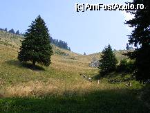 [P81]  -- <small>// FĂRĂ DESCRIERE</small> » foto by neagugaby
 - 
<span class="allrVoted glyphicon glyphicon-heart hidden" id="av71491"></span>
<a class="m-l-10 hidden" id="sv71491" onclick="voting_Foto_DelVot(,71491,5662)" role="button">șterge vot <span class="glyphicon glyphicon-remove"></span></a>
<a id="v971491" class=" c-red"  onclick="voting_Foto_SetVot(71491)" role="button"><span class="glyphicon glyphicon-heart-empty"></span> <b>LIKE</b> = Votează poza</a> <img class="hidden"  id="f71491W9" src="/imagini/loader.gif" border="0" /><span class="AjErrMes hidden" id="e71491ErM"></span>