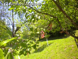 [P46] Muzeul satului Etar » foto by ceasornicarul
 - 
<span class="allrVoted glyphicon glyphicon-heart hidden" id="av862045"></span>
<a class="m-l-10 hidden" id="sv862045" onclick="voting_Foto_DelVot(,862045,5666)" role="button">șterge vot <span class="glyphicon glyphicon-remove"></span></a>
<a id="v9862045" class=" c-red"  onclick="voting_Foto_SetVot(862045)" role="button"><span class="glyphicon glyphicon-heart-empty"></span> <b>LIKE</b> = Votează poza</a> <img class="hidden"  id="f862045W9" src="/imagini/loader.gif" border="0" /><span class="AjErrMes hidden" id="e862045ErM"></span>