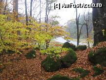 [P19] In padurea Bogatii, DN1, astazi e anormal de liber » foto by dorgo
 - 
<span class="allrVoted glyphicon glyphicon-heart hidden" id="av180787"></span>
<a class="m-l-10 hidden" id="sv180787" onclick="voting_Foto_DelVot(,180787,5687)" role="button">șterge vot <span class="glyphicon glyphicon-remove"></span></a>
<a id="v9180787" class=" c-red"  onclick="voting_Foto_SetVot(180787)" role="button"><span class="glyphicon glyphicon-heart-empty"></span> <b>LIKE</b> = Votează poza</a> <img class="hidden"  id="f180787W9" src="/imagini/loader.gif" border="0" /><span class="AjErrMes hidden" id="e180787ErM"></span>