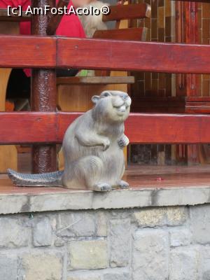 [P08] Mmmm... un animăluț umblă pe terasă.  » foto by tata123 🔱
 - 
<span class="allrVoted glyphicon glyphicon-heart hidden" id="av770572"></span>
<a class="m-l-10 hidden" id="sv770572" onclick="voting_Foto_DelVot(,770572,5687)" role="button">șterge vot <span class="glyphicon glyphicon-remove"></span></a>
<a id="v9770572" class=" c-red"  onclick="voting_Foto_SetVot(770572)" role="button"><span class="glyphicon glyphicon-heart-empty"></span> <b>LIKE</b> = Votează poza</a> <img class="hidden"  id="f770572W9" src="/imagini/loader.gif" border="0" /><span class="AjErrMes hidden" id="e770572ErM"></span>