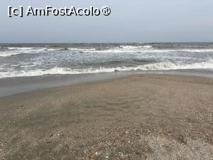 [P21] Plaja de la Sulina şi Marea » foto by nicole33
 - 
<span class="allrVoted glyphicon glyphicon-heart hidden" id="av1522779"></span>
<a class="m-l-10 hidden" id="sv1522779" onclick="voting_Foto_DelVot(,1522779,5688)" role="button">șterge vot <span class="glyphicon glyphicon-remove"></span></a>
<a id="v91522779" class=" c-red"  onclick="voting_Foto_SetVot(1522779)" role="button"><span class="glyphicon glyphicon-heart-empty"></span> <b>LIKE</b> = Votează poza</a> <img class="hidden"  id="f1522779W9" src="/imagini/loader.gif" border="0" /><span class="AjErrMes hidden" id="e1522779ErM"></span>